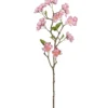 Apfelblütenzweig APFELBLÜTE