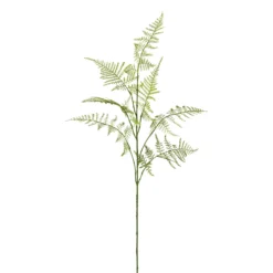 Asparagusweig FLOWERS