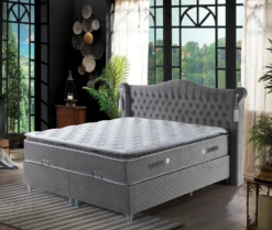 Boxbett COSTARICO