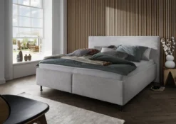Boxbett MALENTE