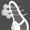 Bürodrehstuhl LINEA 80