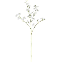 Cornuszweig REAL TOUCH