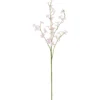 Cornuszweig REAL TOUCH