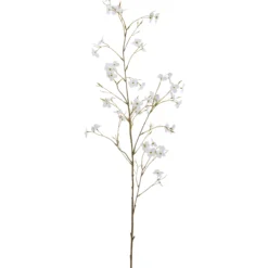 Cornuszweig REAL TOUCH