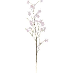 Cornuszweig REAL TOUCH