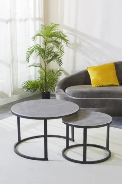 Couchtische 2er-Set C680