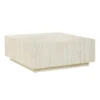 Couchtisch RAINIS