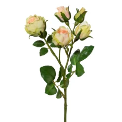 Deko-Blume POLYANTROSE