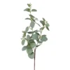 Dekopflanze Eukalyptuszweig EUKALYPTUS