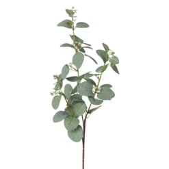 Dekopflanze Eukalyptuszweig EUKALYPTUS