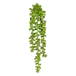 Dekopflanze Hängezweig SEDUM