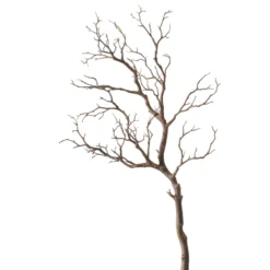 Dekozweig ASTRA