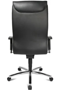 Drehstuhl LINEA DIRECTOR 20
