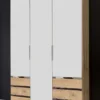 Drehtürenschrank LEVEL 36 A