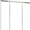 3D-Spiegelschrank 70 010.1.0001