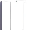 3D-Spiegelschrank 70 007.1.0042