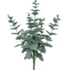 Eukalyptusbusch EUKALYPTUS