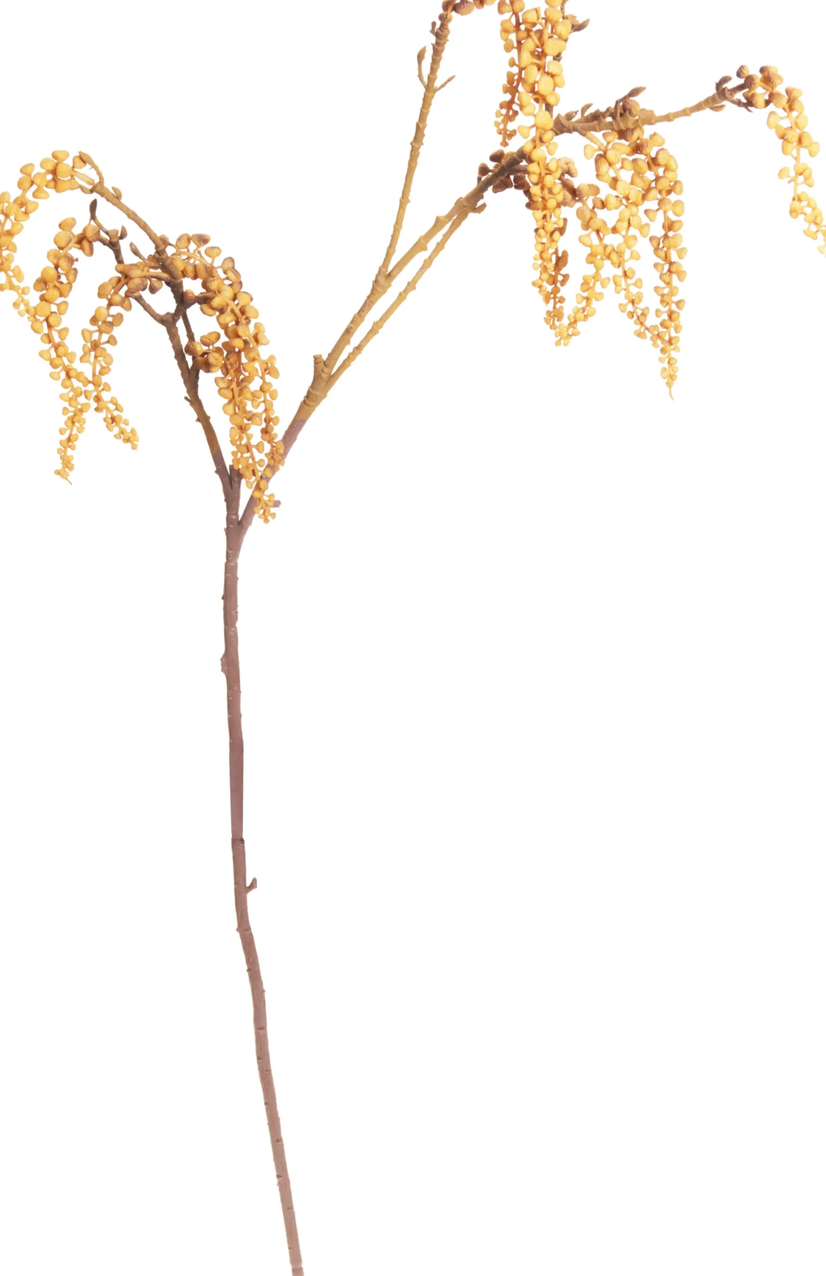 Herbstzweig HERBST