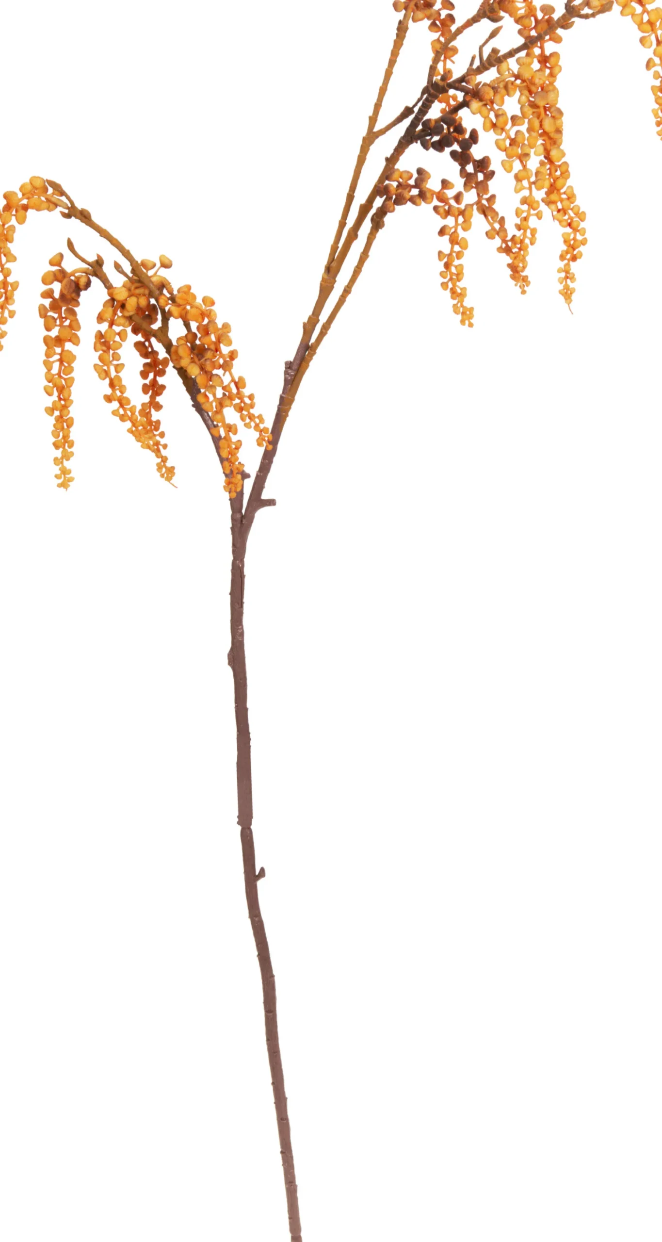 Herbstzweig HERBST