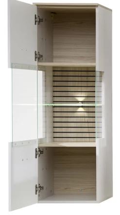 Hängevitrine INA