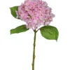 Hortensie FLOWERS
