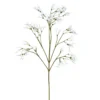 Jasminzweig JASMIN