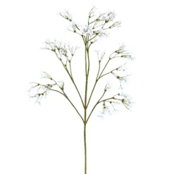 Jasminzweig JASMIN