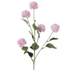 Kornblume FLOWER