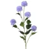 Kornblume FLOWER
