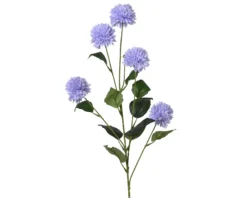 Kornblume FLOWER