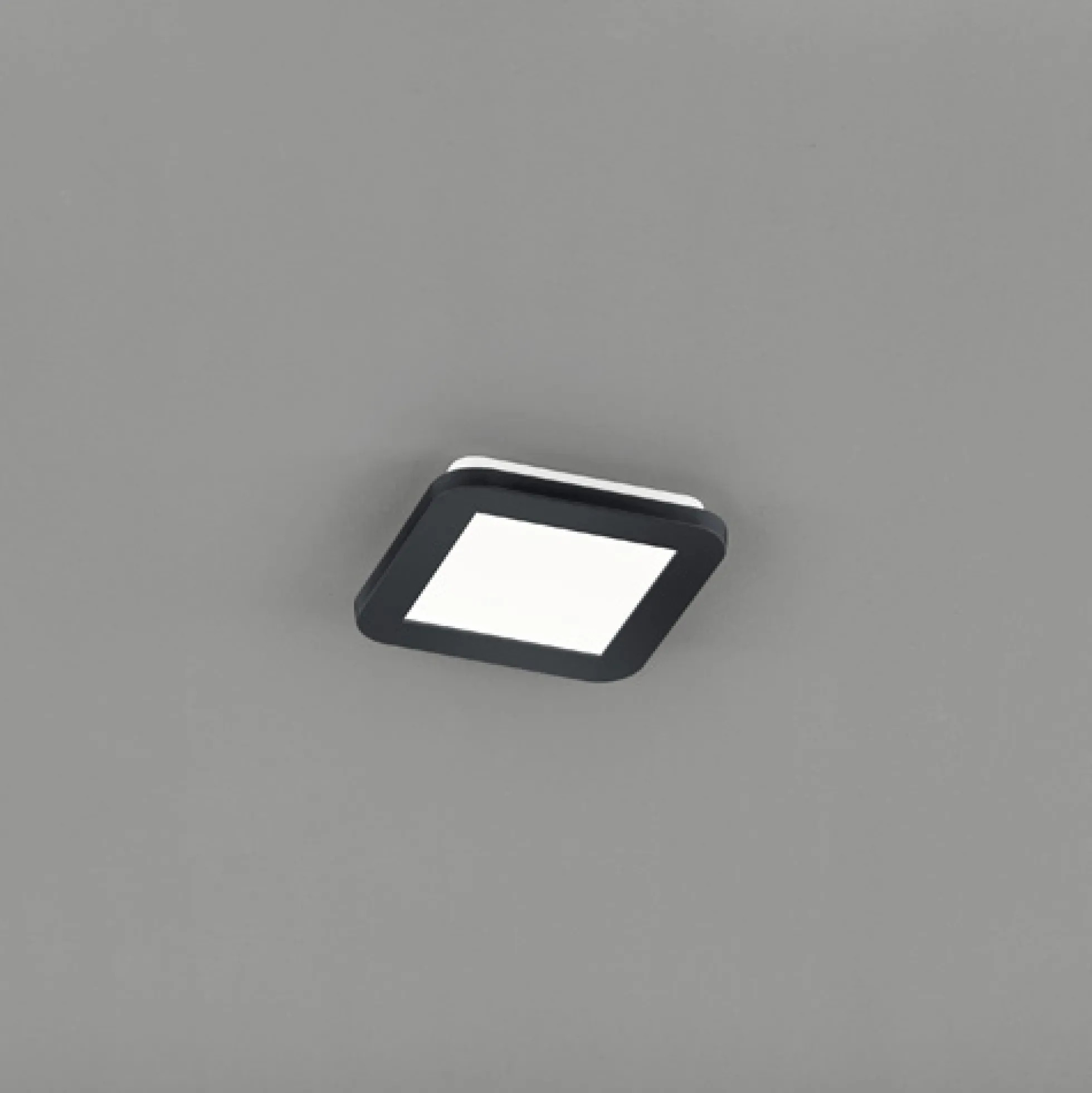 LED Deckenleuchte CAMILLUS