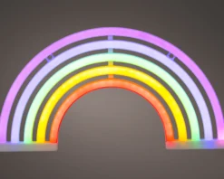 LED Neon Regenbogen NEON