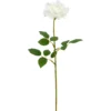 Rose REAL TOUCH