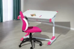 Schülerschreibtisch 2COLORIDO