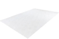 Teppich VIVICA 225