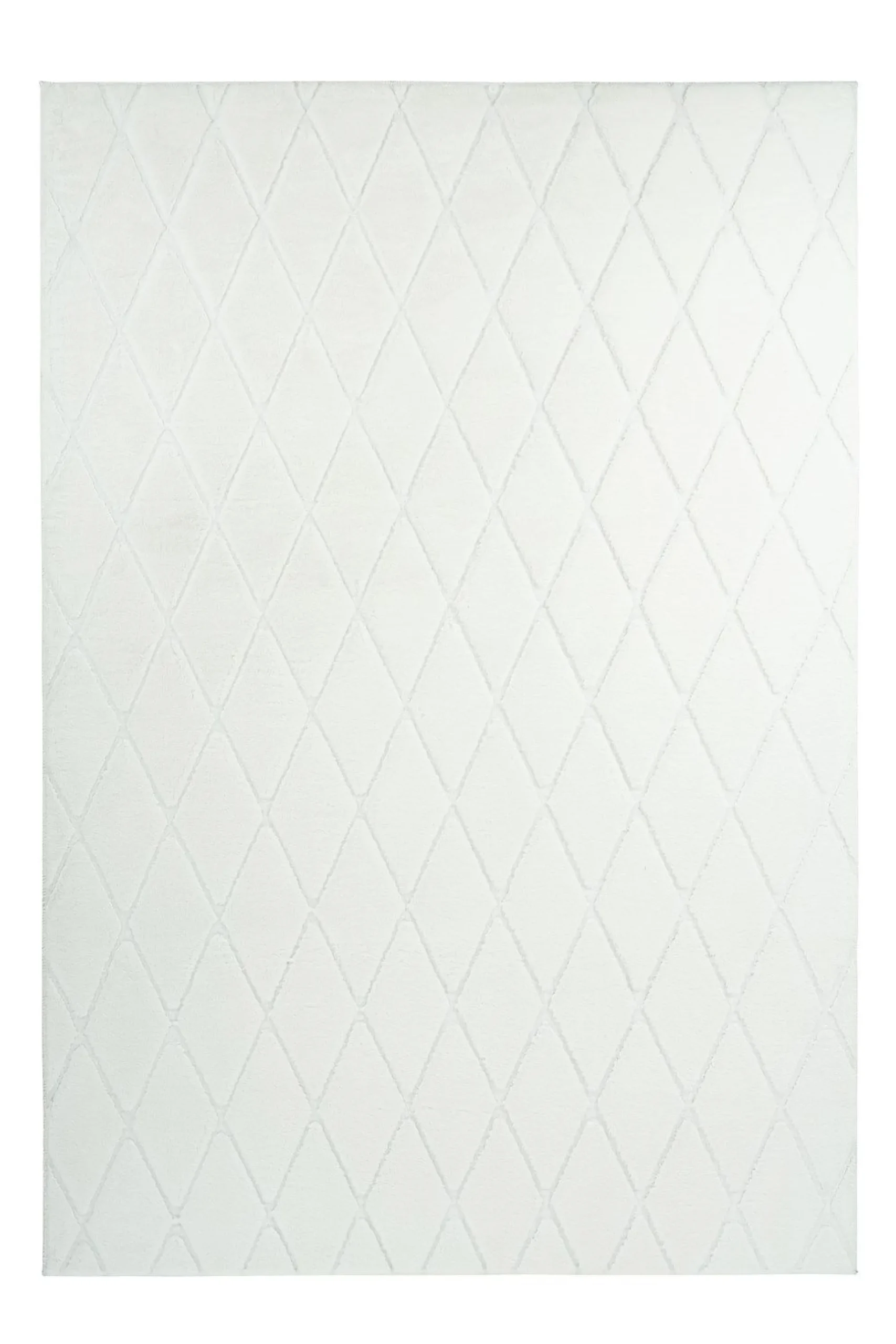 Teppich VIVICA 225