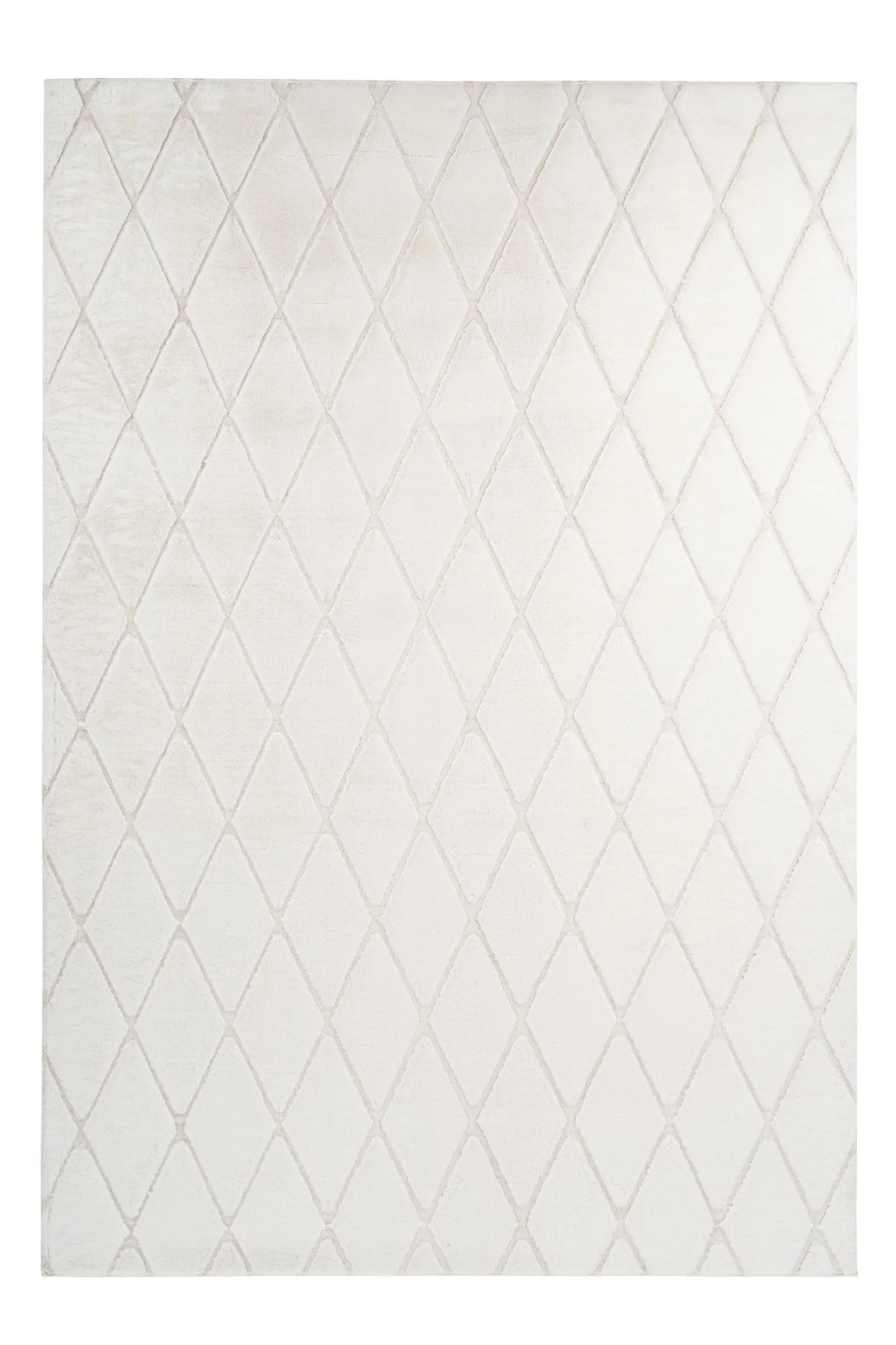 Teppich VIVICA 225