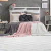 Teppich VIVICA 225