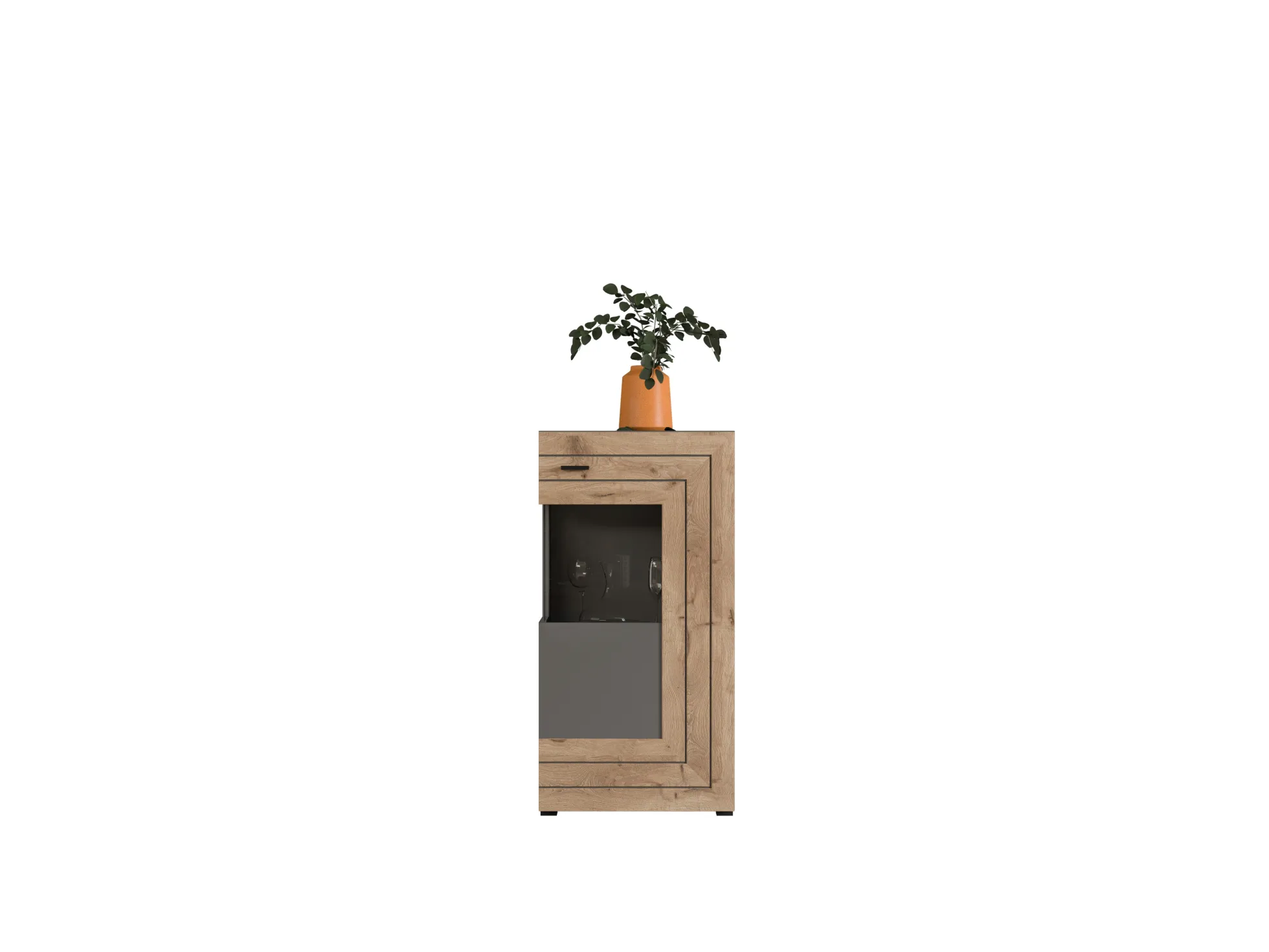 Vitrine DURAME