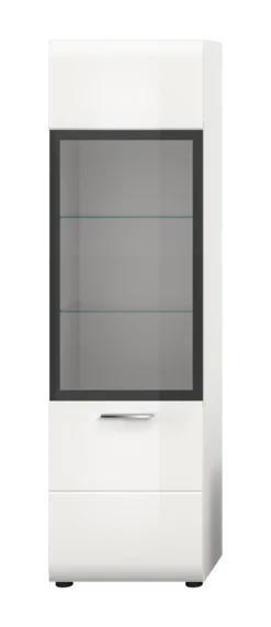 Vitrine ICE