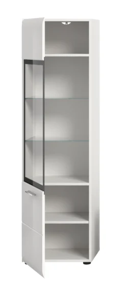 Vitrine ICE