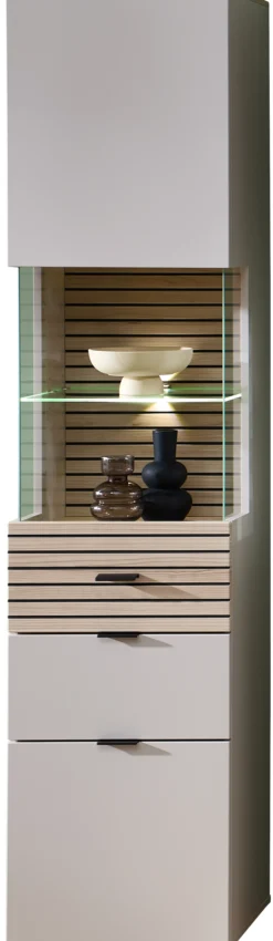 Vitrine INA