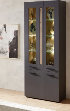 Vitrine LOFT-TWO 03