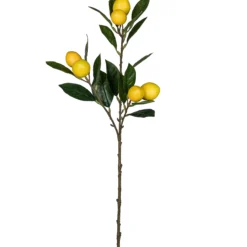 Zitronenzweig FRUITS